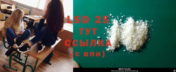 прущие грибы Алзамай