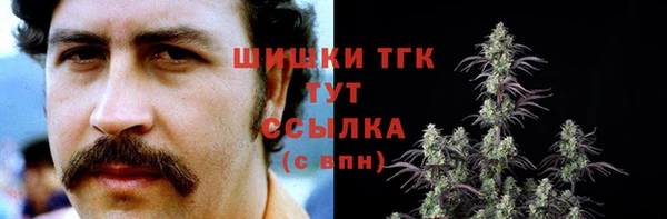 spice Абаза