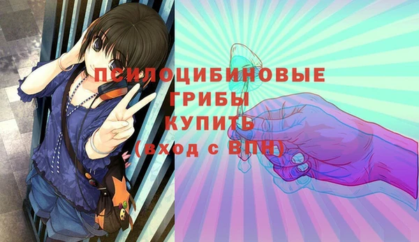 spice Абаза
