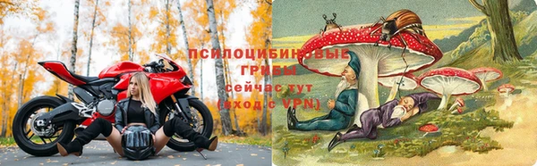 spice Абаза
