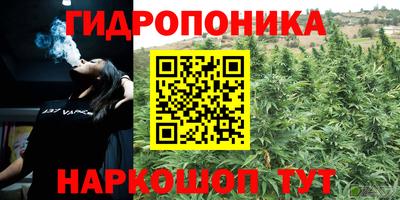 гашиш Можга