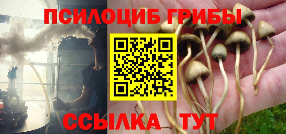 Псилоцибиновые грибы GOLDEN TEACHER Кизилюрт